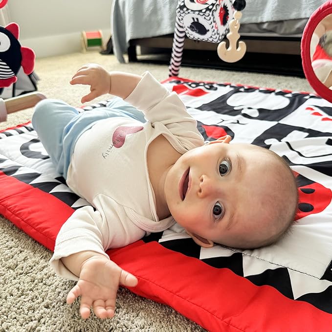 QUOKKA Padded Baby Gym Mat for Floor Tummy Time - High Contrast Baby Kick and Play Gym Mat - 6 Toys | Thick Pad | Machine Washable | Black White Red Colors for Vision Development