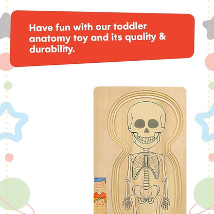 Kidzlane Boy Wooden My Body Puzzle for Toddlers & Kids - 29 Piece Boys Anatomy Puzzle Kid Play Set - Anatomy for Kids, Skeleton Toys for Children Ages 3 Plus