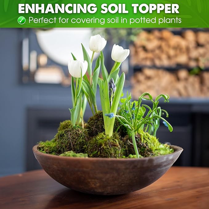 DUSPRO Dried Moss for Potted Plants, Forest Orchid Moss for Potting Mix, Sphagnum Potting Moss for Plants Indoor, Real Moss Soil Cover for Houseplant (5 OZ)