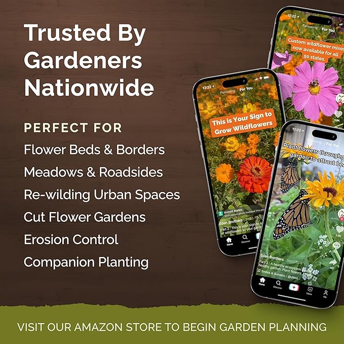 Eden Brothers All Perennial Wildflower Mixed Seeds for Planting, 1/4 lb, 120,000+ Seeds with Lupine, Shasta Daisy | Attracts Pollinators, Plant in Spring or Fall, Zones 3, 4, 5, 6, 7, 8, 9, 10