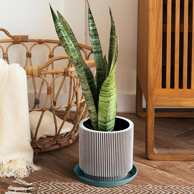 MUDEELA 6 Pack of 12 inch Plant Saucer, Durable Plastic Plant Trays for Indoors, Blue Plastic Flower Plant Pot Saucer, Made of Thicker, Stronger Plastic, with Taller Design