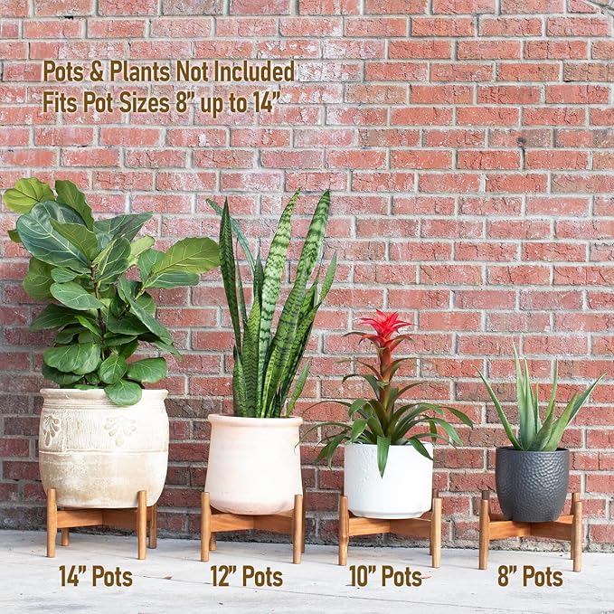 Macaw on Kapok Wood Plant Stand,Fits 8 10 12 to 14 inch Plant Pot,Acacia Solid Wood,Planter Stands for Indoor Plants,Outdoor Planter Large,Modern Plant Holder,Mid Century Plant Stand,Flower Pot Stand