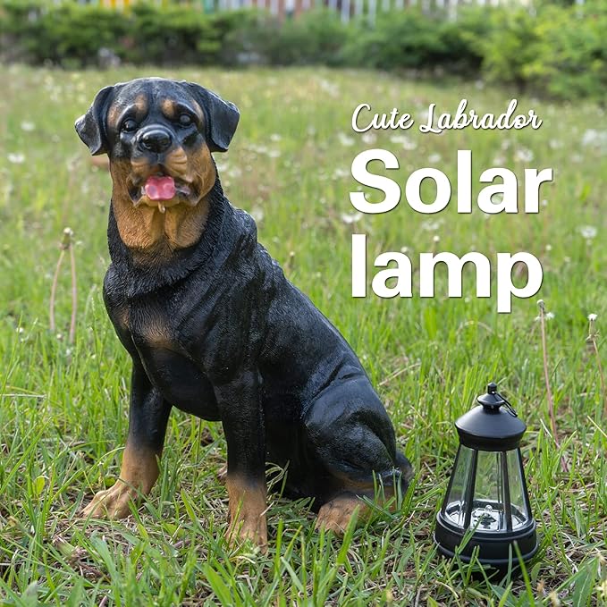 Notakia Resin Dog Rottweiler Statues and Sculptures with Solar Led Home Garden Decoration Windproof Lamp Outdoor Lighting Decor (Rottweiler &LED)