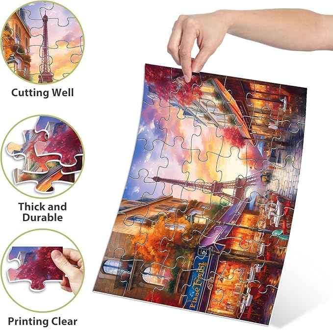 6 Pack 36 Large Piece Puzzles for Seniors Puzzle Dementia Alzheimer's Products Activities for Elderly Adults Easy Jigsaw Puzzle Alzheimer's Gift for Patients in Nursing Home with 6 Storage Bags
