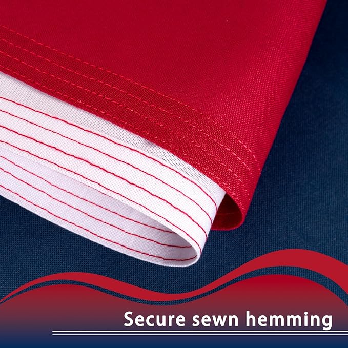 Texas Flag 2x3 ft Deluxe Super Tough Series, Heavy Duty Spun Polyester, All Weather TX Flag High Wind with Embroidered Stars, Brass Grommets, Sewn Stripes, Durable Texas Flags Outdoor Outside