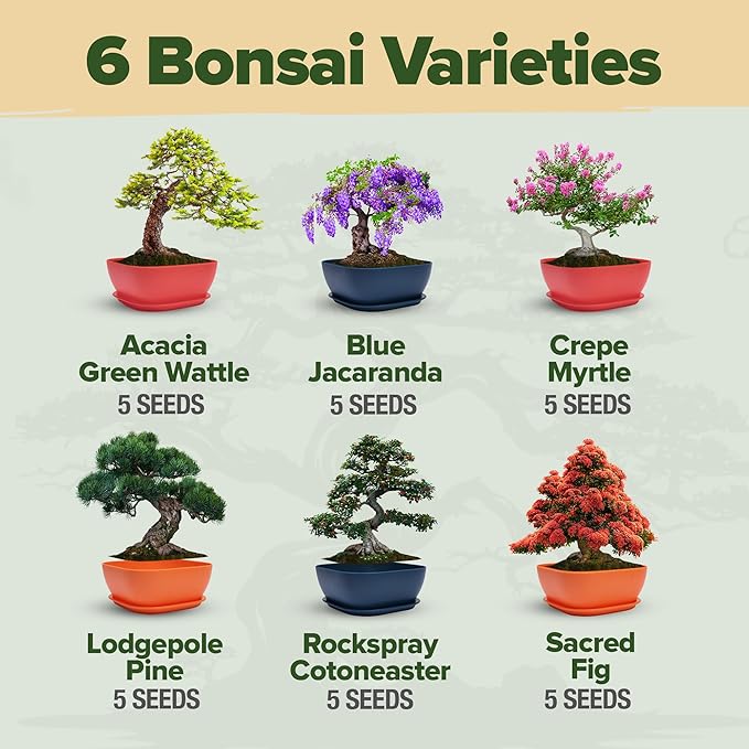 HOME GROWN Bonsai Tree Kit: Unique Christmas Gift for Men - Bonsai Starter Kit w/ 6 Seed Varieties - Unique Designed Pots - All-in-One Craft Kit for Adults for Gardeners & Plant Lovers