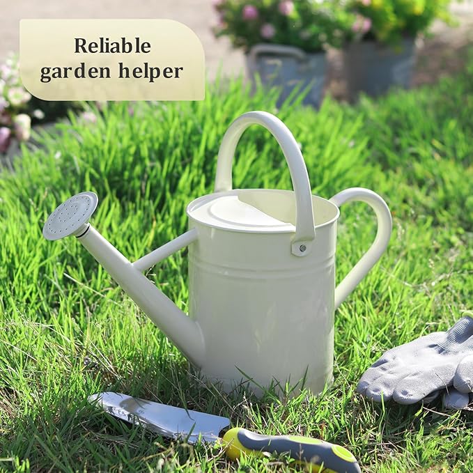 Watering Can for Outdoor Plants and Indoor Plants,1 Gallon Metal Watering Can for Garden Flower,Galvanized Steel Metal Water Can Watering Pot with Sprinkler Head