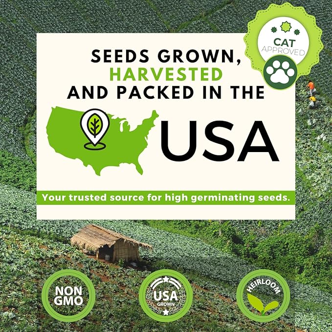 HOME GROWN 2,160+ Cat Plant Seeds Mix – 𝗡𝗢𝗡-𝗚𝗠𝗢 𝗨𝗦𝗔-𝗦𝗢𝗨𝗥𝗖𝗘𝗗 Heirloom Catnip, Lemongrass, Licorice, Thyme & Valerian – Pet-Friendly Indoor Garden Refill Kit for Cats & Kittens