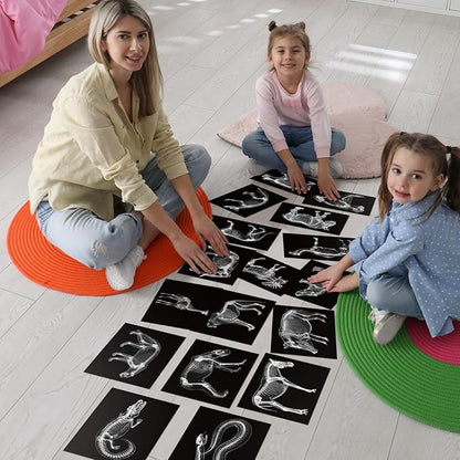 Chunful 20 Pcs Animal X-Ray Kit Wildlife X-Ray Flash Cards Educational Science Kit Light Table Toys Accessory, 11.7" x 8.3''(Wild Animals)