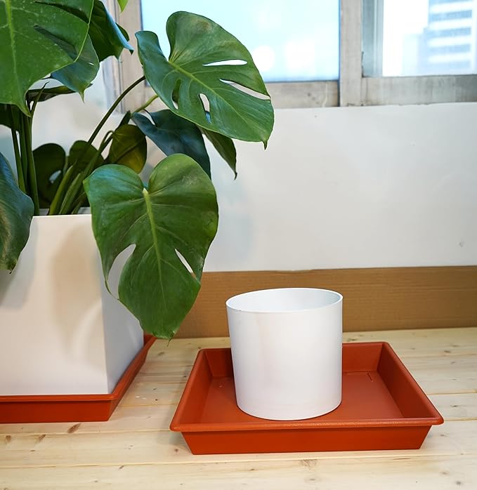 Square Plant Saucer 16 Inch 5 Pack, Plant Stand Plant Trays for Pots Heavy Duty Plastic Plant Saucers for Indoors Outdoors, No Holes Terracotta Plant Lover Gardening Gifts
