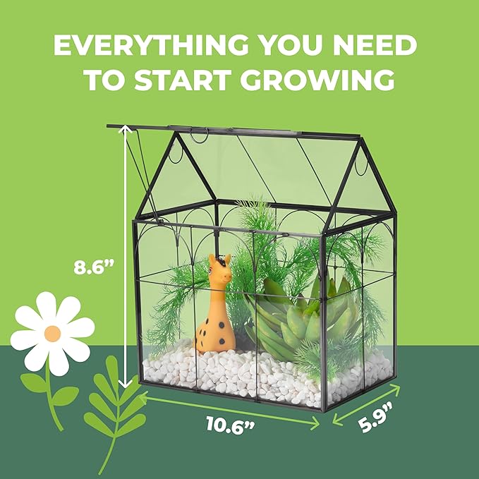 Window Garden Glass Terrarium with Lid - 9x11x6-Inch Indoor Greenhouse Plant Terrarium Decor Planter Dome - Terrarium Kit Tabletop Greenhouse - Plant Accessories Ideal Gift for Nature Lovers