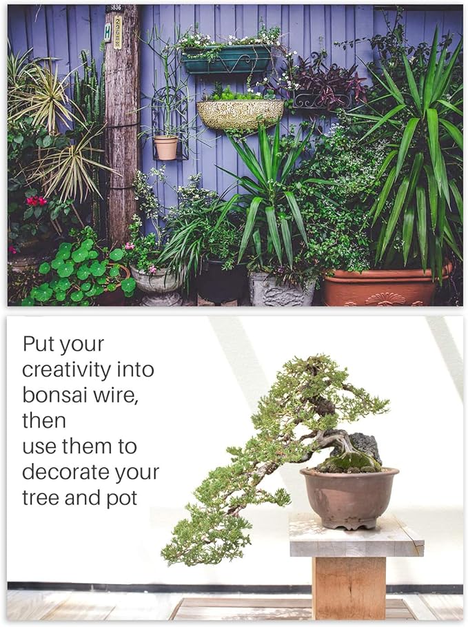 MoHern Bonsai Wire and Bonsai Tool Kit, Total 164 Feet Bonsai Tree Wire for Bonzai Trees Indoor, Size of 1-mm, 1.5-mm, 2-mm Aluminum Wire