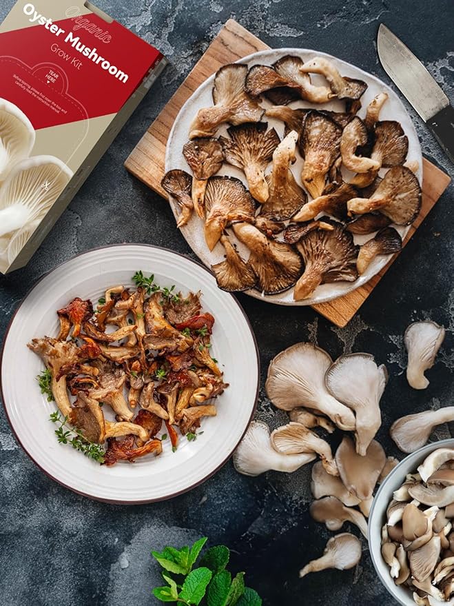 inbloom Organic Oyster Mushroom Growing Kit with Spray, Harvest Fresh Mushrooms at Home, Beginner Friendly & Easy to Use, Unique Gardening Gift for Holiday, Handmade in New Jersey, USA