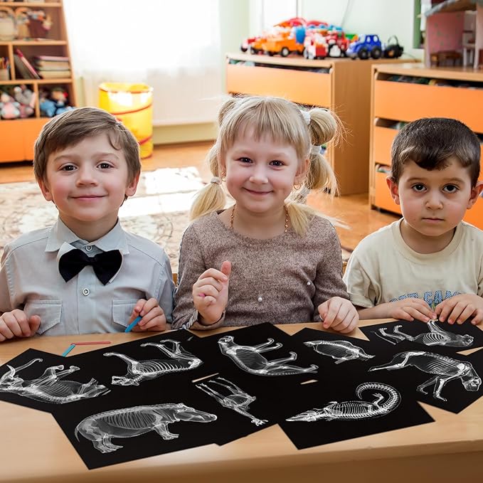 Chunful 20 Pcs Animal X-Ray Kit Wildlife X-Ray Flash Cards Educational Science Kit Light Table Toys Accessory, 11.7" x 8.3''(Wild Animals)