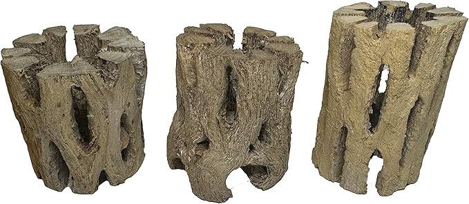 3 Natural Cholla Wood Air Plant Display Holders 2 inch Individually Unique Round Decorative Stands