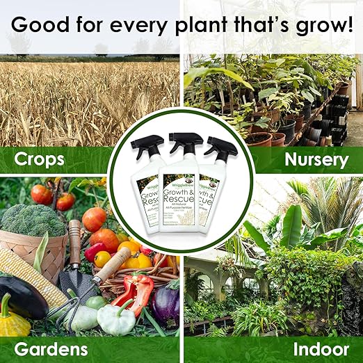 Organic Liquid Fertilizer Concentrate from Worm Castings. Non-Toxic, All-Purpose, Plant Food for Gardens, Vegetables, Fruits, Houseplants, Seed Starters, and Ornamentals. Makes 8 Gallons.