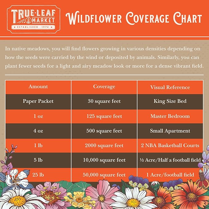Northeastern Wildflower Seeds Bulk – 1/4 lb, 160,000+ Seeds – Native Northeast Wildflower Mix – Annual & Perennial Flower Seed for Planting – Pollinator-Friendly Garden Mix