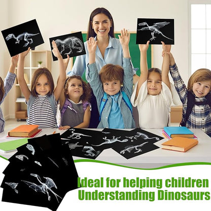 Chunful 20 Pcs Animal X-Ray Kit Wildlife X-Ray Flash Cards Educational Science Kit Light Table Toys Accessory, 11.7" x 8.3'' (Dinosaurs)