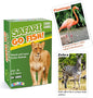 BenBen Go Fish Card Game for Kids, 104 Picture Cards, Jumbo Size, Safari Animal Learning Playing Cards, Memory Matching Games with Real Photos Fun Facts, 2-8 Players, Easter Basket Stuffers