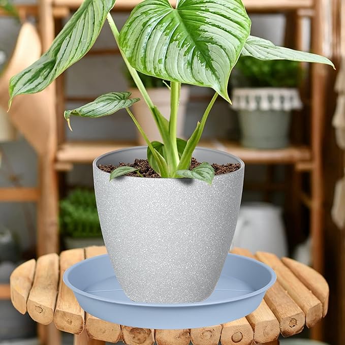 6 Pack of Plant Saucer Tray 9 10 inch, Heavy Duty Plastic Pot Plant Drip Trays Saucers for for Indoors Outdoor, Plant Water Tray for Planters 9-10" (10", Light Gray)
