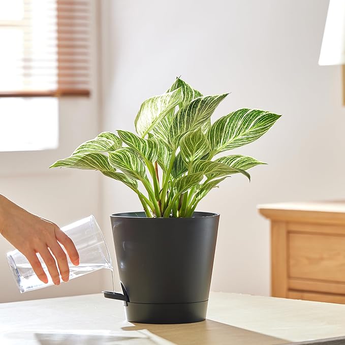 FaithLand 2-Pack 8 Inch Planter Pots for Indoor Outdoor Plants, Self Watering Flower Pots with Deep Reservoir, Black …