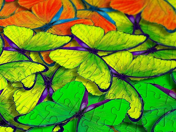 Multicolor Butterflies Rainbow Gradient – 1000 Pieces Jigsaw Puzzle for Adults – Matte Finish, Soft Touch, Easy to Assemble, Tight Fit, Vivid Colors, Missing Pieces Service