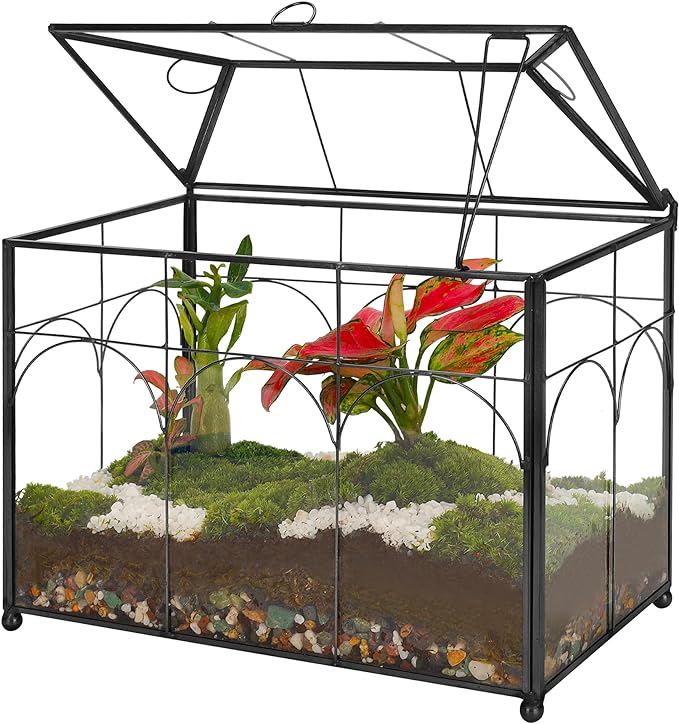 Handmade Glass Planter Terrarium with Lid, Indoor Tabletop Centerpiece Display Box Modern Decor DIY Gift Plant Terrarium Container for Succulent Cacti Air Plants Flower (Black)