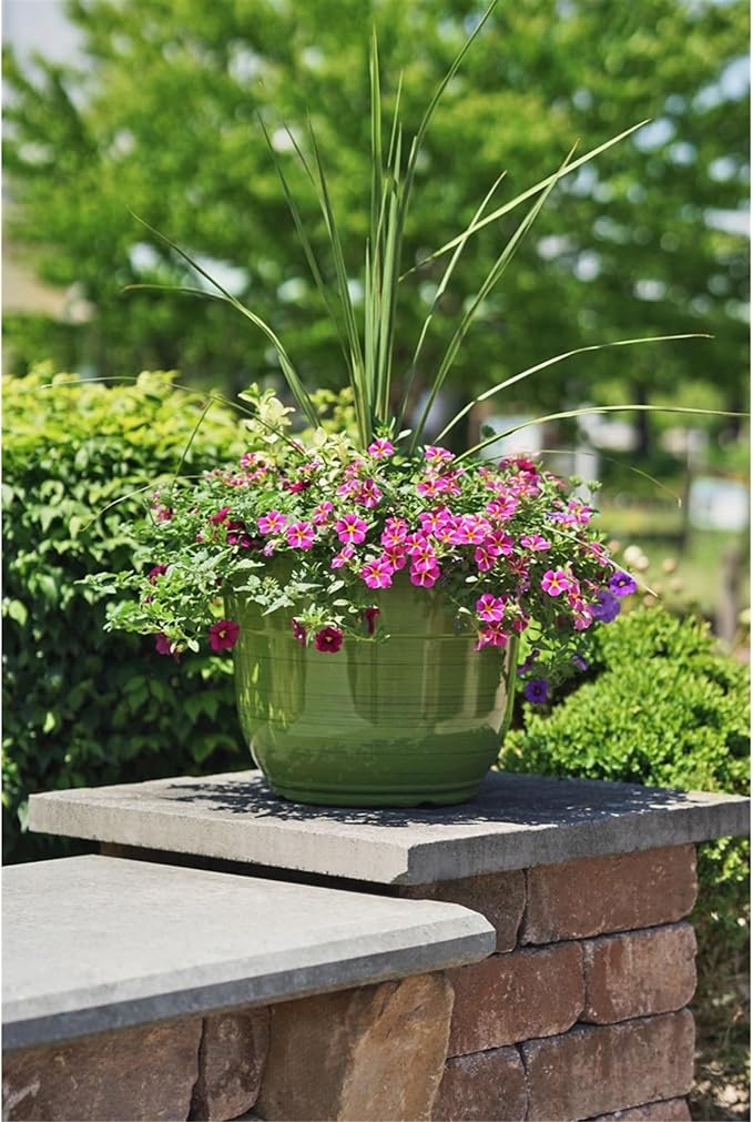 Garden Elements Indoor/Outdoor Glazed Brushed Happy Plastic Planter, Large, Dark Green, 15"