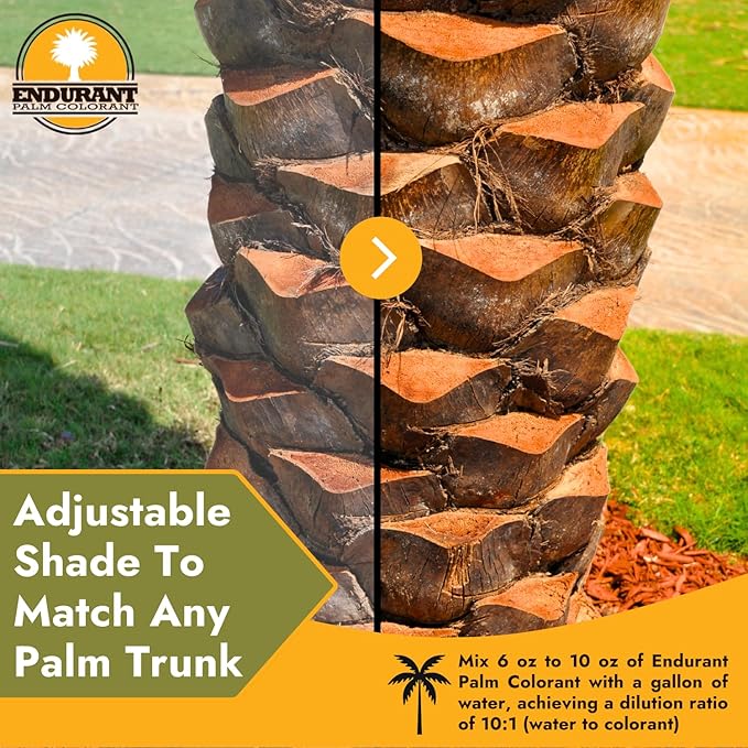 Endurant Palm Colorant – Non-Toxic Palm Tree Protector - Enhances Natural Beauty - Prevents Sunscald & Bark Damage -Easy Annual Application - Vibrant Long-Lasting Trunk Care - 32 oz