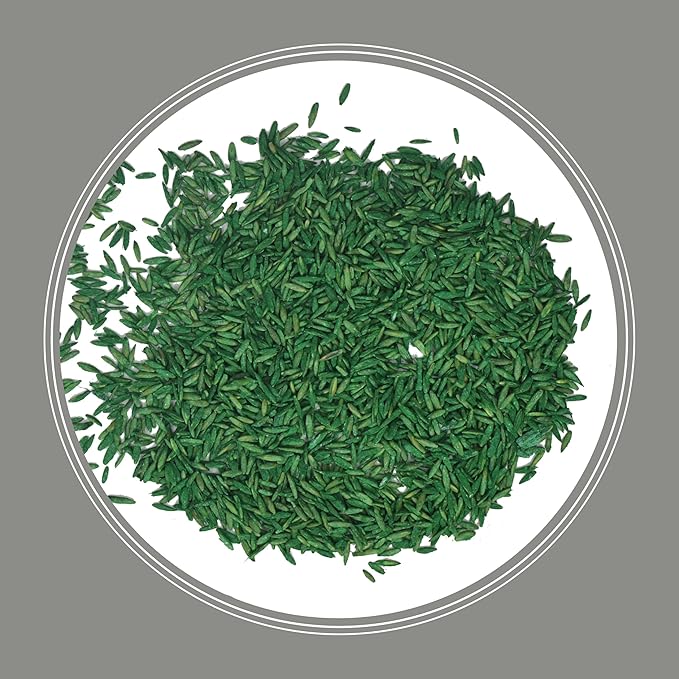 Pennington Contractors Grass Seed Mix Central 20 lb