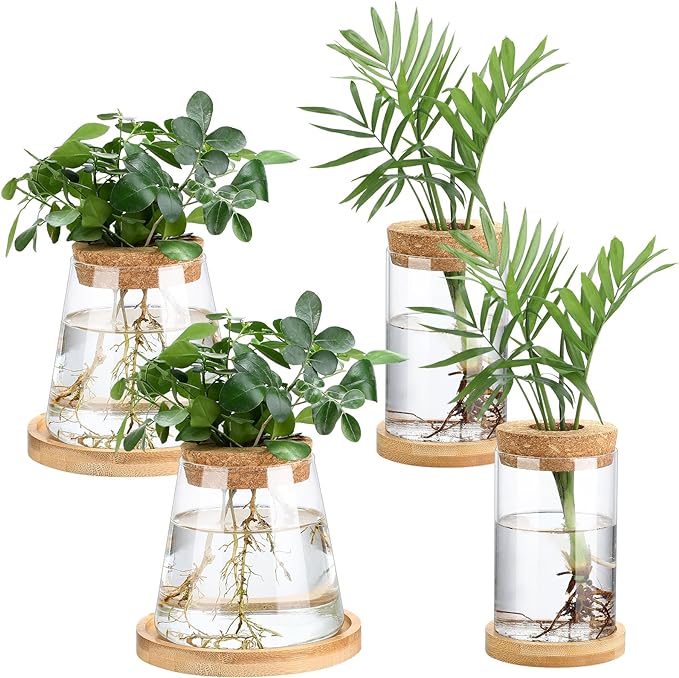 Layhit 4 Pcs Plants Propagation Stations Separated Desktop Plant Terrarium Glass Planter Vase with Wooden Lid and Bamboo Stand for Growing Hydroponic Home Office Tabletop Decoration (Stylish Style)