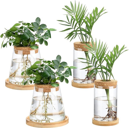 Layhit 4 Pcs Plants Propagation Stations Separated Desktop Plant Terrarium Glass Planter Vase with Wooden Lid and Bamboo Stand for Growing Hydroponic Home Office Tabletop Decoration (Stylish Style)