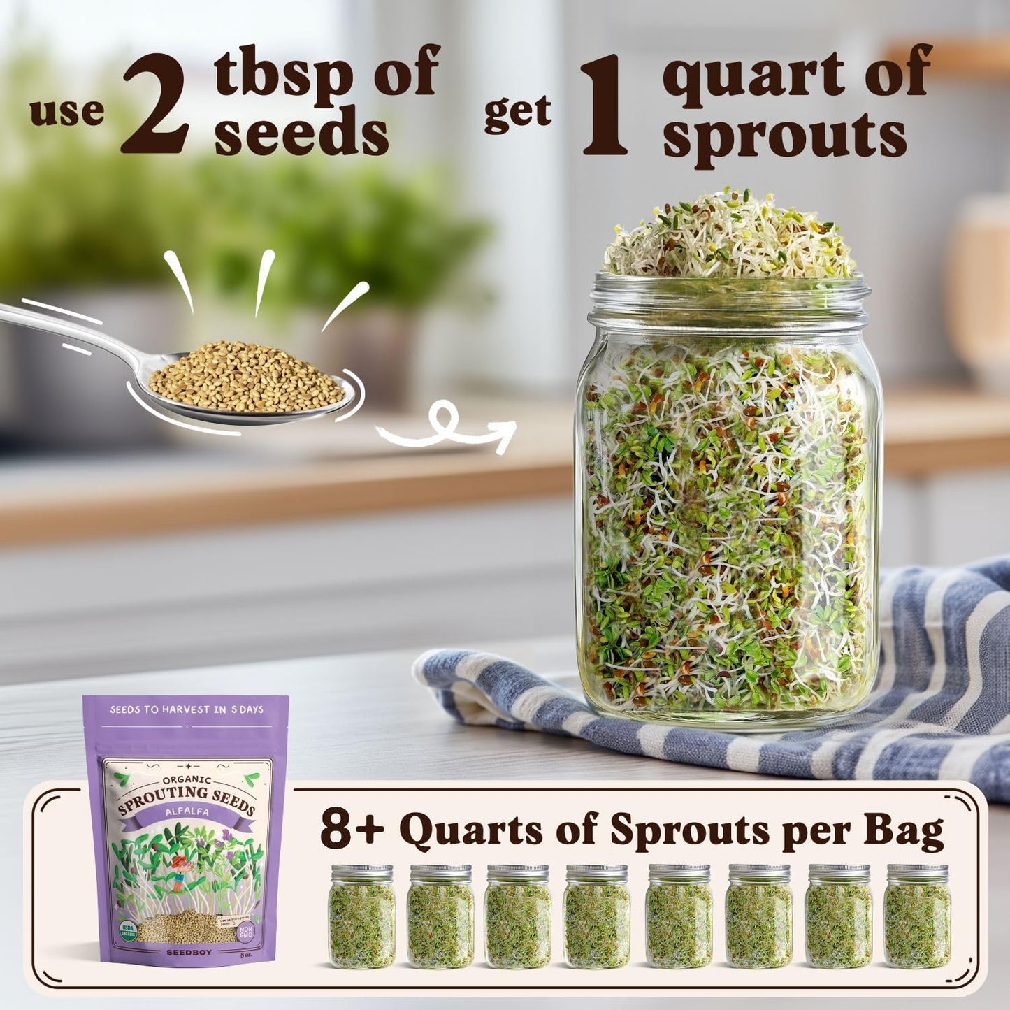 Seedboy Organic Alfalfa Seeds for Sprouting - Non-GMO, USDA Organic Microgreens Sprouting Seeds Mix - Makes 8 Quarts of Sprouts, 24 Servings (8 oz) (Alfalfa)