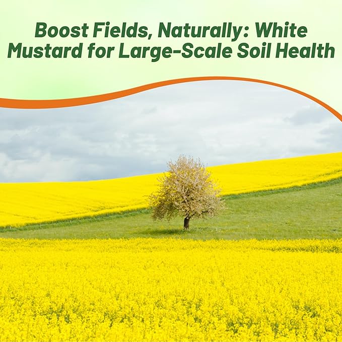 Outsidepride White Mustard Seeds for Planting - 50 lb Annual Cover Crop Seeds w/Deep Root System, High Protein Forage, Ideal for Soil Fertility, Crop Rotations, & Livestock Nutrition