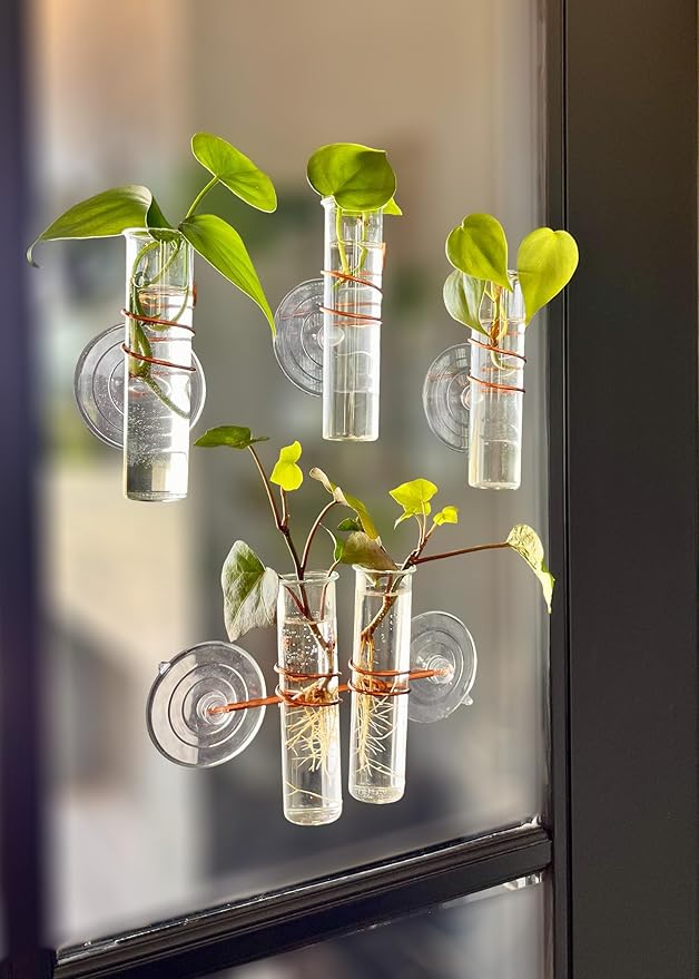 The Little Window Propagator- Window Plant Propagation Station with Removable Glass Test Tubes, Indoor Clippings, Cut Flowers, Herbs, Succulents | Home Decor | Plant Lover Gift
