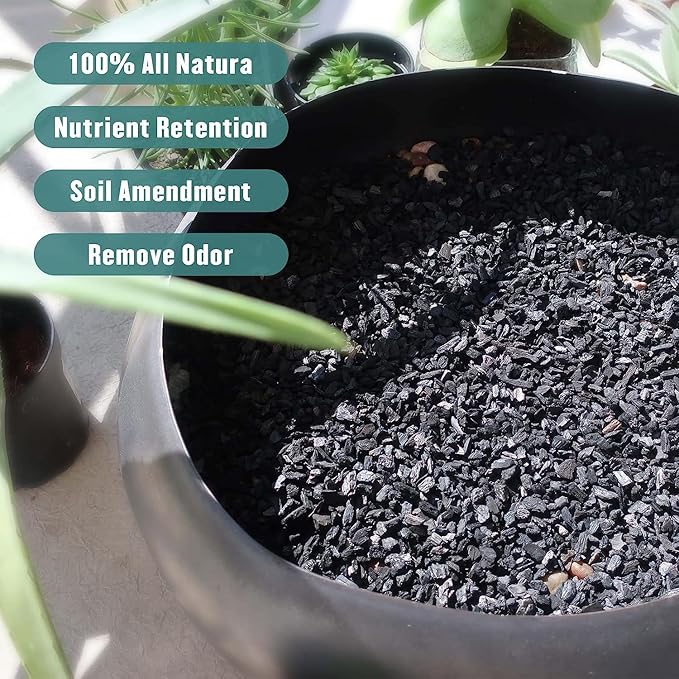 Legigo 2QT Horticultural Charcoal for Plants- Plant Charcoal Hardwood Biochar Soil Amendment, Activated Charcoal for Soil Amendment, Terrariums, Indoor Plant