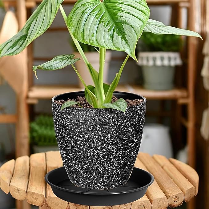 2 Pack of Plant Saucer 10 inch, Black Plastic Flower Plant Pot Saucer, Heavy Duty Plant Drip Trays Saucers for Indoor, Plant Water Tray for Planters
