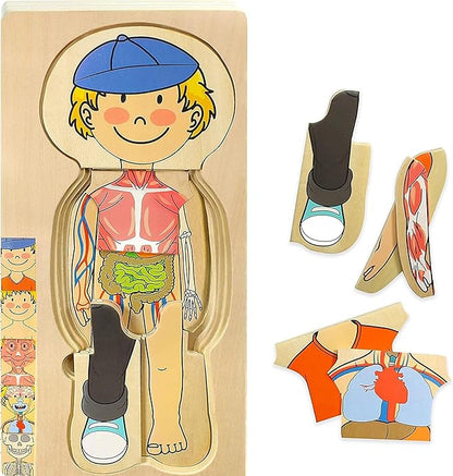 Kidzlane Boy Wooden My Body Puzzle for Toddlers & Kids - 29 Piece Boys Anatomy Puzzle Kid Play Set - Anatomy for Kids, Skeleton Toys for Children Ages 3 Plus