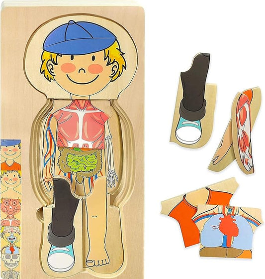Kidzlane Boy Wooden My Body Puzzle for Toddlers & Kids - 29 Piece Boys Anatomy Puzzle Kid Play Set - Anatomy for Kids, Skeleton Toys for Children Ages 3 Plus