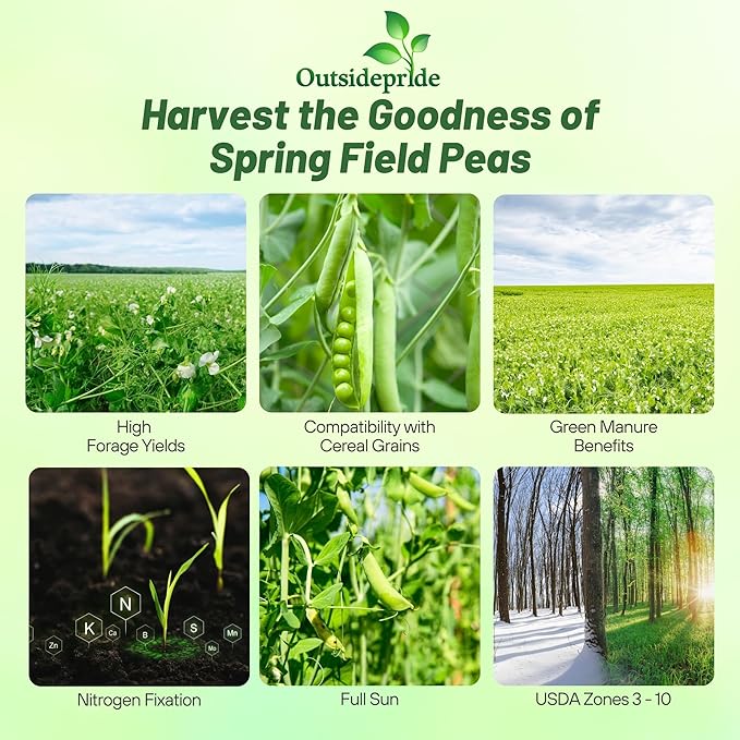 Outsidepride Dundale Spring Field Peas Seeds - 5 lbs. Annual, High-Protein Legume & Cover Crop Seeds for Forage, Food Plot, Gardens & Pastures - Ideal for Improving Soil Health, & Erosion Control