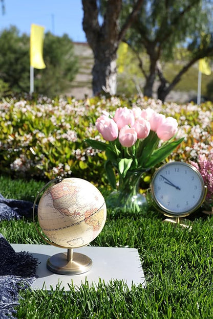 Annova Antique Globe Dia 5.5-inch / 14CM - Educational/Geographic/Modern Desktop Decoration - Stainless Steel Arc and Base - for School, Home, and Office (Antique 5.5“) (Brown-1)