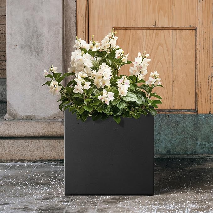 Kante 10 Inch Square Concrete Planter for Outdoor Indoor Home Patio Garden, Large Plant Pot with Drainage Hole and Rubber Plug, Black