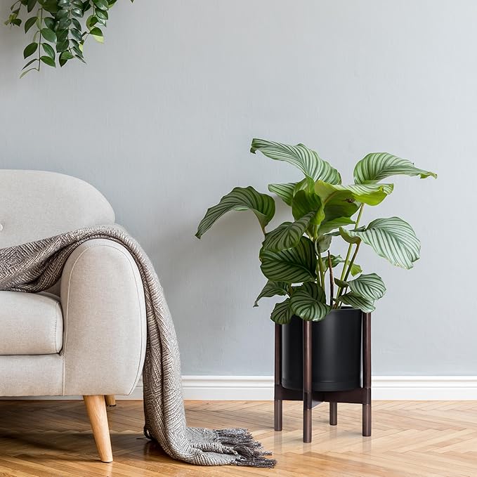 D'vine Dev Planter Pot with Stand - 10 Inch Plastic Cylinder Flower Pot with Wood Planter Holder for Indoor, Matte Black Pot + Walnut Color Stand, 55-C-L-2