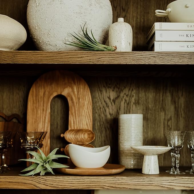 Live Air Plants - Tillandsia Gift Box TOR Variety Pack - 10 Count Large, 4-10 inches – Live Indoor Plants & Live 15 inch Spanish Moss – Live Plants for Home décor, Live Arrival Guaranteed