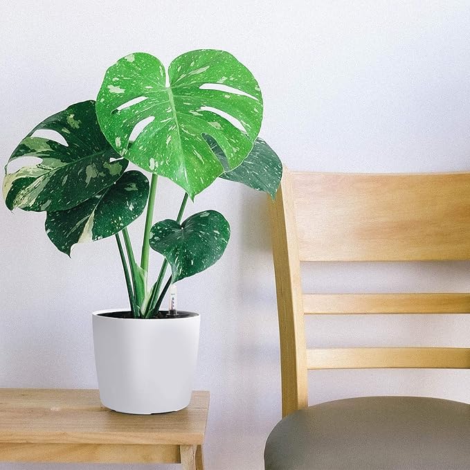 KINJOEK 4 Packs 7 Inch Self Watering Planter with Water Level Indicator, Modern Garden Decorative White Flower Pot for House Plants, Flowers, African Violets, Succulents, White