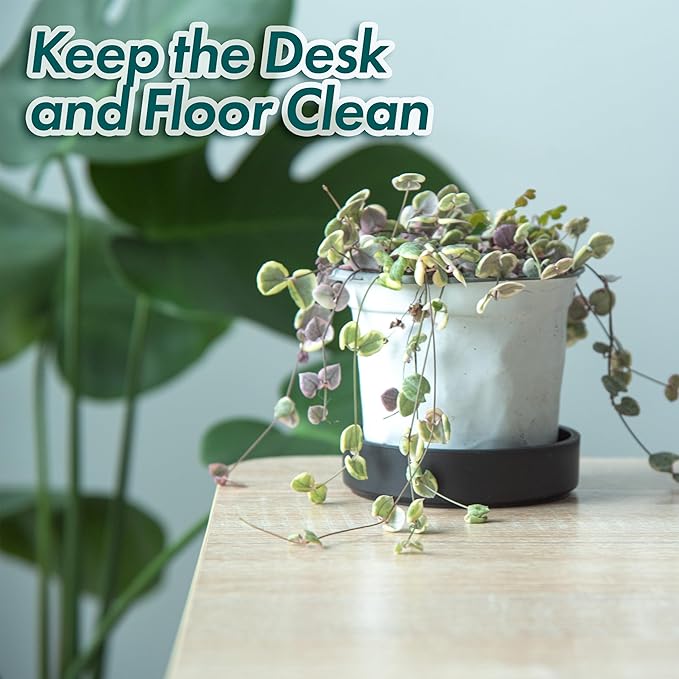 Phoenix Vine 4 Inch Plastic Plant Saucer Water Drip Tray, Heavy Sturdy Round Plant Drainage Tray for Indoors Outdoor, Matte Black, 21-TY-4B-1