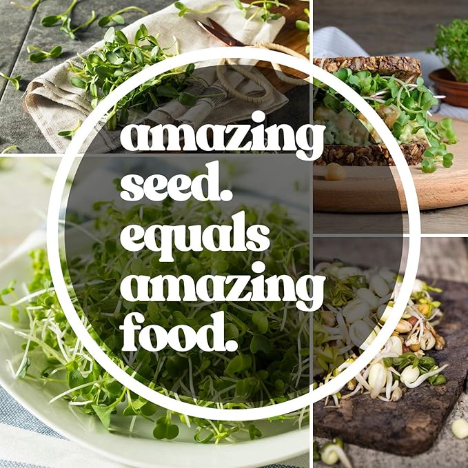 Beet Seeds - Red Round - 4 Oz ~6,000 Seeds - Beta vulgaris - Microgreens Seed - Non-GMO, Heirloom, Open Pollinated, Annual