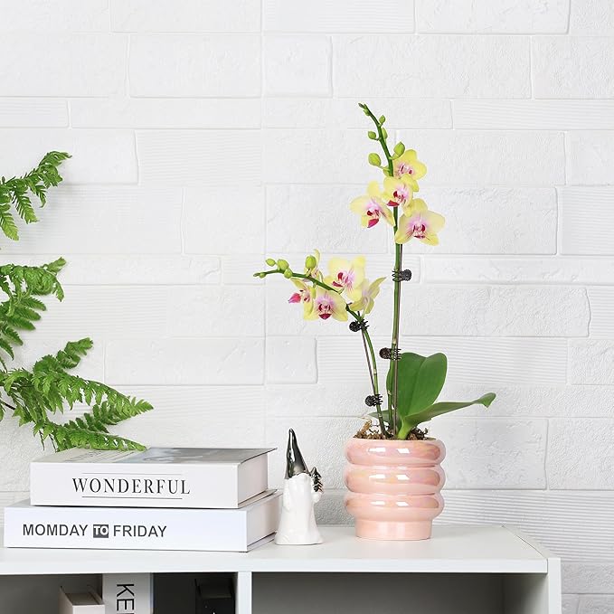 4.1 inch 4 pcs Ceramic Plant Pots for Indoor Plants, Rainbow Pearl Glaze Planter with Planters for Plants with Drainage Hole, Orchid Pots, Succulent Pot, Small Flower Pot (Pink)