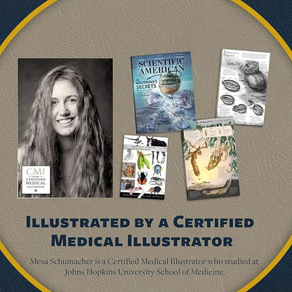 Dr. Livingston's Human Feet Anatomy Puzzle - A Medically Accurate Jigsaw Puzzle of The Feet - Educational Toy of The Human Body - Unique Shaped Puzzle for Doctors, Nurses and Medical Students