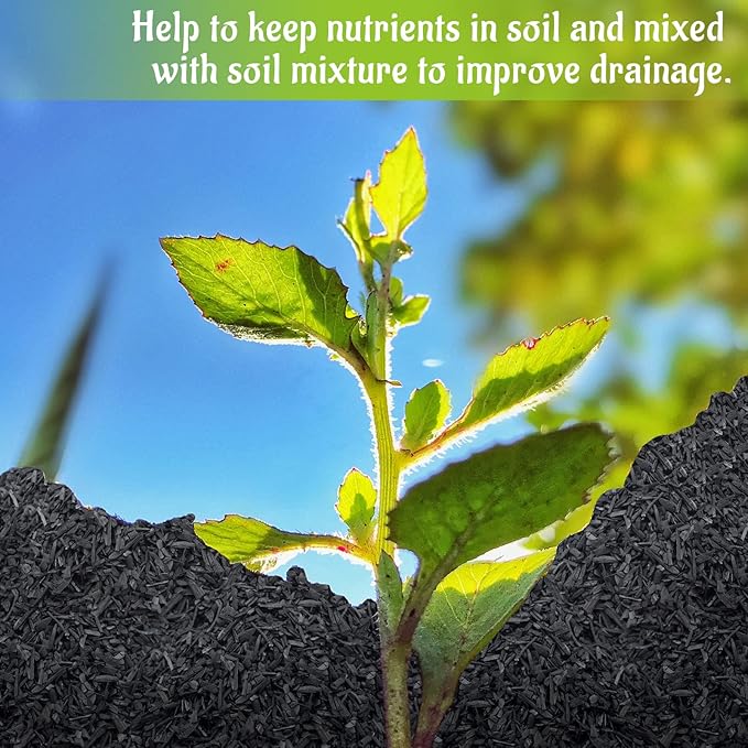 Legigo 8QT All Natural Horticultural Charcoal- Activated Hardwood Plant Charcoal for Soil Amendment, Conditioning Bonsai Soil, Succulent Soil, Terrarium Supplies, Indoor Plant Potting Soil